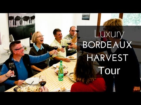 Luxury Bordeaux Harvest Tour with French Wine Explorers