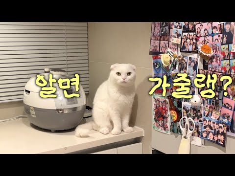 갑자기 사춘기가 온 무지