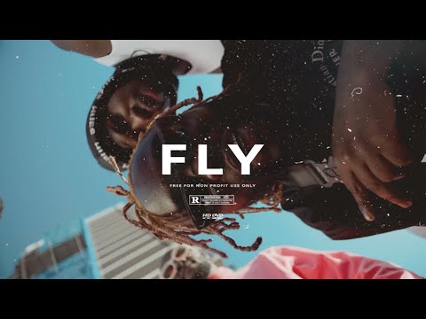(FREE) NSG x Darkoo x Jae5 Type Beat - Fly | Free UK Afroswing/Afrobeat/Dancehall Type Beat 2021