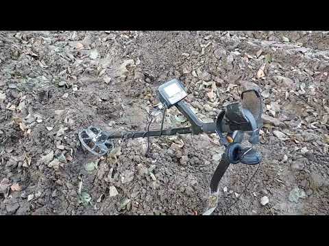 Wykrywacz metali Fortuna S-  omówienie, pierwsze wrażenia