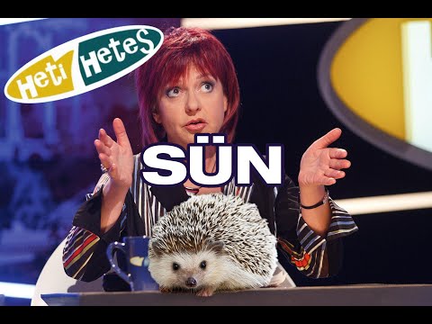 Heti Hetes 2010.05.23. - Hernádi Juci és a sünök