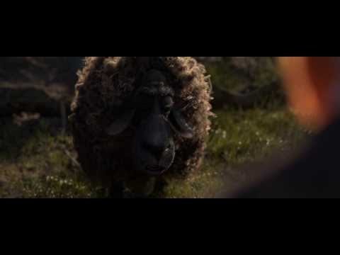 Cosmos Laundromat Trailer