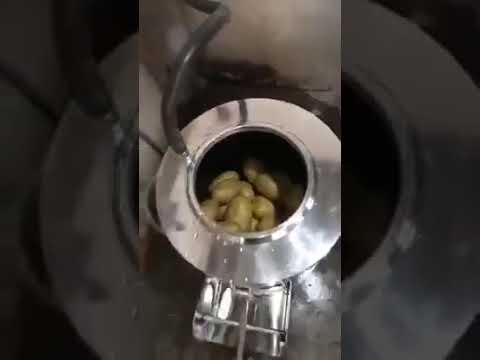 Potato Peeling Machine