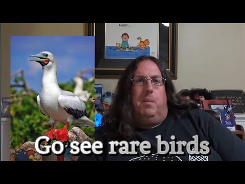 Thumbnail for Maryland lose a 6 flags, Princess in Asia then Australia ,and hurricane move cruise ships