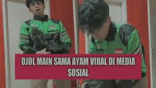 Download lagu JADI INI OJOL MAIN SAMA AYAM YANG VIRAL ITU? KEREN JUGA🤣 mp3