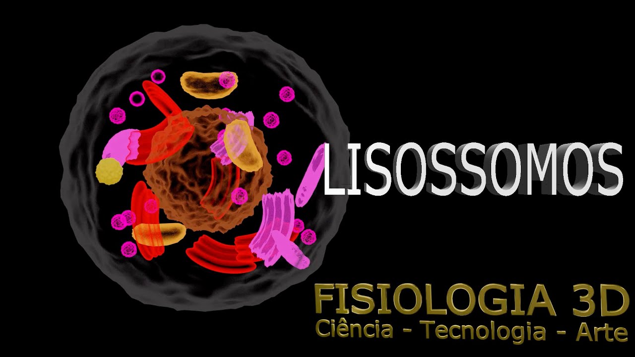 Aula9 - lisossomos (digestão intracelular - ação das enzimas digestivas)
