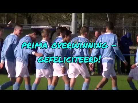 Samenvatting Hermes DVS C1 -  HWD C1