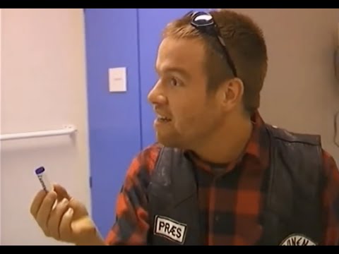 Rektalundersøgelse - Rockerne "Svinene"