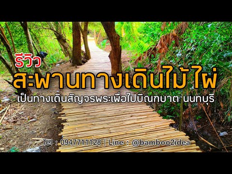 รีวิว : สะพานทางเดินไม้ไผ่ (เส้นทางชั่วคราว)