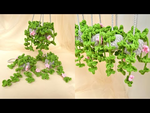 Chậu treo cỏ bốn lá