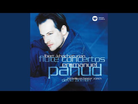 Flute Concerto: I. Allegro