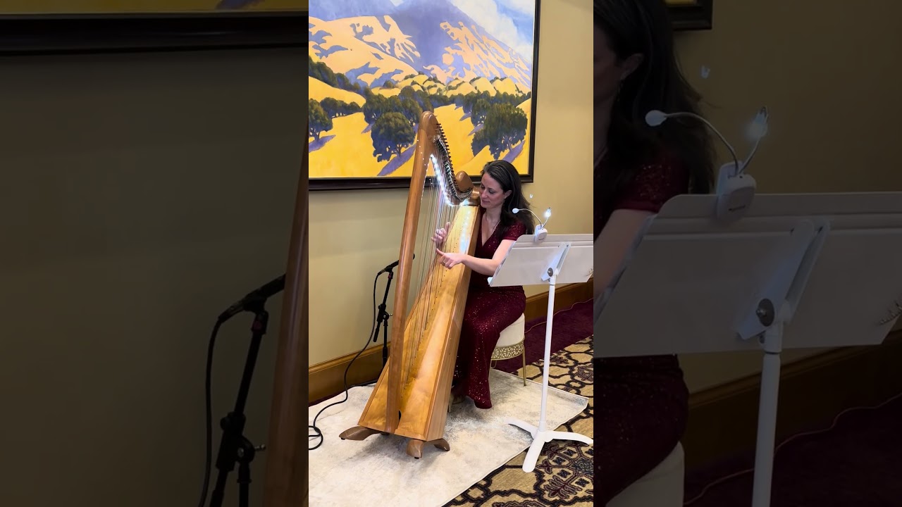 Promotional video thumbnail 5 for AureliHarp