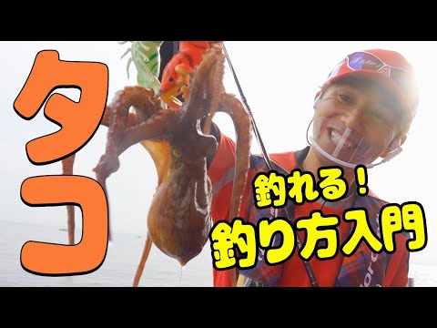 明石のタコ名人ＴＫキングに訊け！船タコ釣り方入門