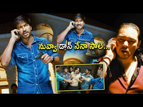 Gopichand & Kelly Dorji Ultimate Telugu Mass Warning Scene | Gopichand | Kotha Cinema