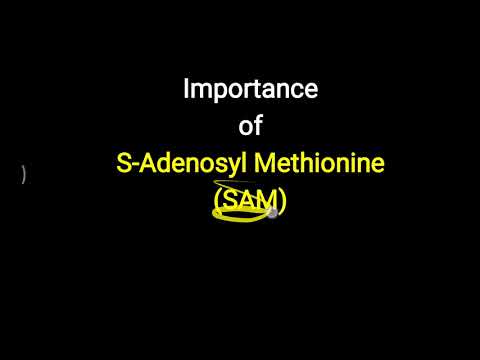 S adenosyl methionine 400 mg tablet / adenoheal, 10x1x10