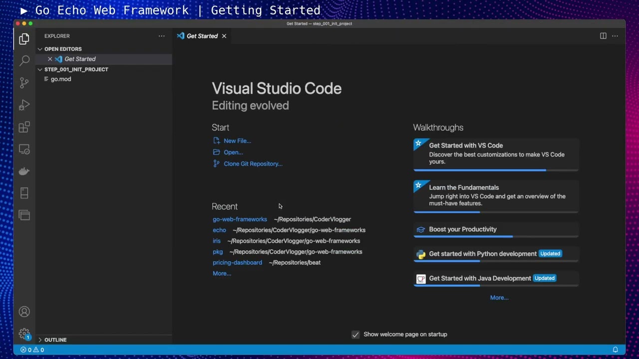 Go Web Frameworks - Echo - Getting Started