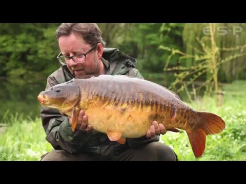 Martin Bowler om karpefiskeri i grødefyldt vand