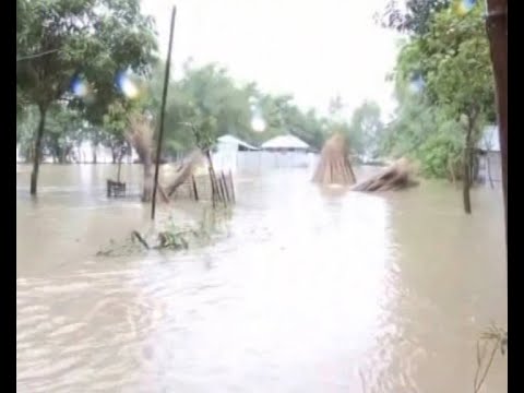 বৃষ্টি আর উজানী ঢলে আরও বাড়ছে নদ-নদীর পানি