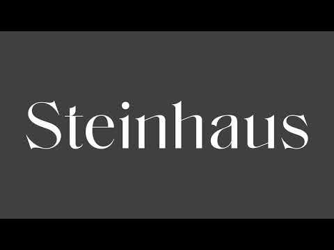 SteinHaus - Construção de marca e Identidade visual
