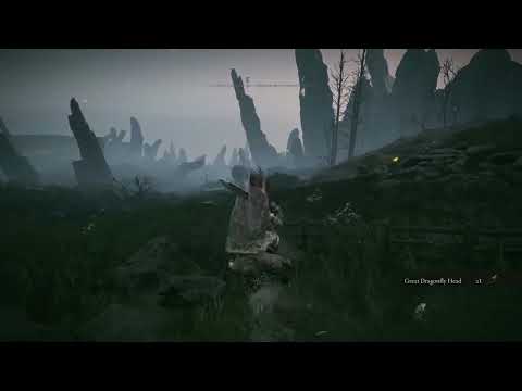 Elden Ring DLC Shadow Of The Erdtree Walkthrough Part 10
