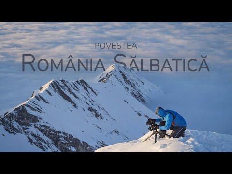 Povestea România Sălbatică