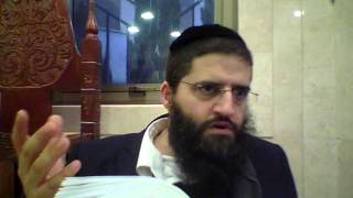 פרשת וירא - אל תהיה "פרעון", תפתח מסעדה כשרה!
