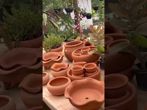 Estamos hospedados na casa da nossa amiga Ângela - Cheiro das Águas - Bom Jardim de Minas - MG.