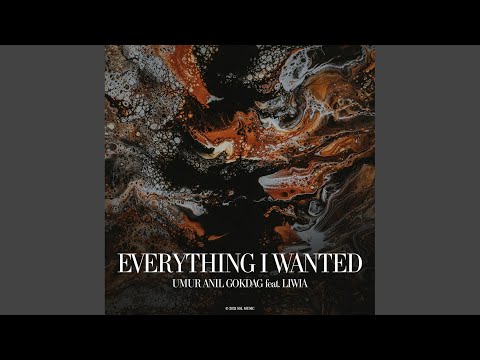 Everything I Wanted (Original Mix)