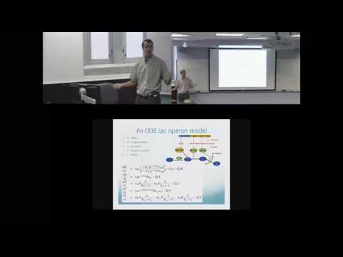 Boolean models of gene regulatory networks