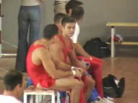 selariu y Flavius. romanian gymnasts