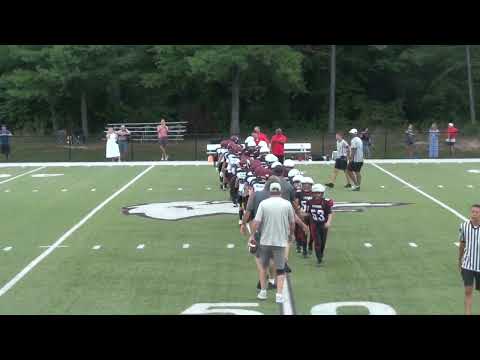 Sept 10 Titans v  Grizzlies 20