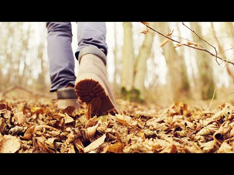 3-Tage-Wetter: Schrittweise mehr Herbst