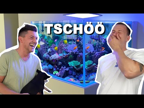 DESIGNER REEF AQUARIUM - 1000 liters block + Vodka method?! + for beginners *english subtitles*