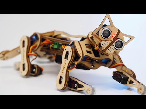 Роботы для дома: от котика до Шварценеггера | Робототехника | Блог | Клуб DNS