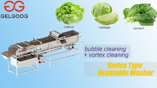 Vortex Type Vegetable Washing Machine New Type Fruit washing machine youtube video