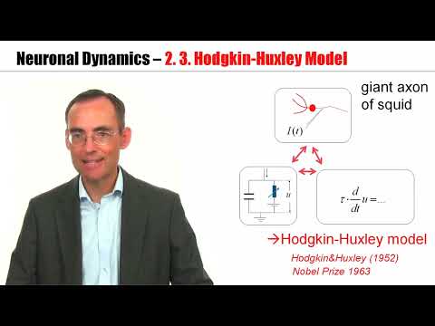 CNS2.3 - Hodgkin-Huxley Model