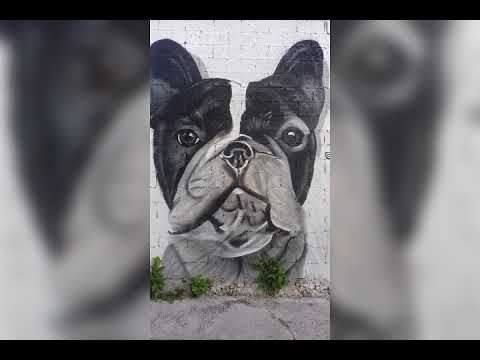 Mentes delincuentes 66