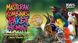 Download lagu 24 JAM MASTERAN NEMBAK KASAR TAJAM SATU JALUR   JEDA TERAPI AIR 100% GARANSI CEPAT MASUK!! mp3