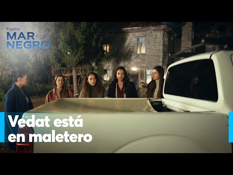 Fikret's help served the girls well - Black Sea Chapter 113 | Fugitive