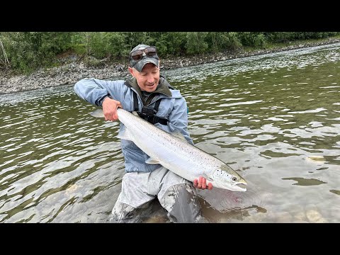 Chasing silver - Salmonfishing opening week Gaula 2024 at Nedre Løberg - Laksefiske - Laks