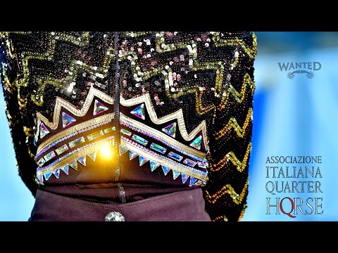 AIQH 2023 - Winter Western Show - Domenica 19 Febbraio 2023