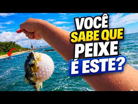MUITO PEIXE NESSE PONTO DE PESCA SECRETO EM SANTA CATARINA ( 3 PONTOS DE PESCA NA COSTEIRA)