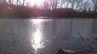 preview picture of video 'Carping on Lake Audubon -- Part 2 (Haddon Heights, NJ)'