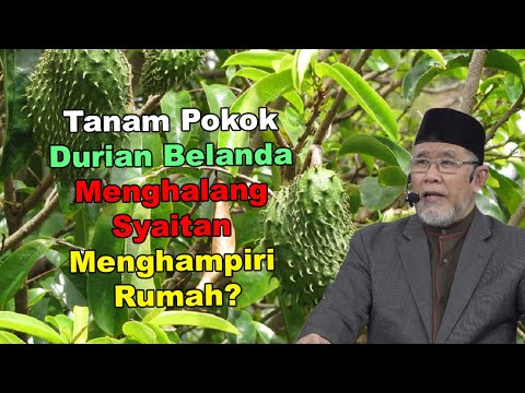 Tanam Pokok Durian Belanda Menghalang Syaitan Menghampiri Rumah? | Dato' Dr. Danial Zainal Abidin
