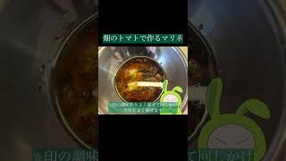 畑のトマトで作るマリネ　#簡単レシピ #お料理動画 #トマト #マリネ