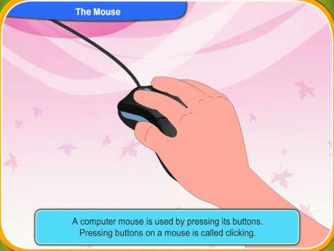 How to Use Computer Mouse