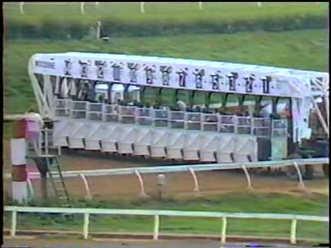 The Dave Borden Experience! Myrthful Mynx Winning Race!