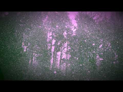 Pawłoś - KOLĘDrAp