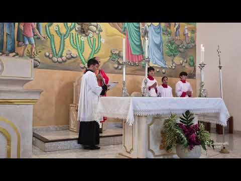 Paróquia Nossa Senhora  Conceição de Pedro II-PI 's broadcast
