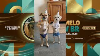 Manda Pra Quele Amigo ou Amiga Que Faz Aniversário Em Agosto 🤣